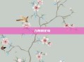 九阴桃花岛