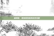 童偶熊，萌宠探险家的游戏攻略