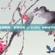 揭秘反恐精英，全球攻势（CS:GO）中的远光灯配方
