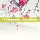 CF手游晴雅比基尼，探索游戏新境界