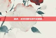 破虏，游戏攻略与技巧全解析
