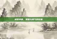 城堡争霸，策略与勇气的较量