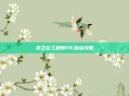 龙之谷工程师PK加点攻略