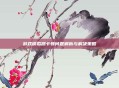 游戏模拟器卡顿问题解析与解决策略