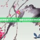 英雄联盟三十六计，策略与技巧的完美结合