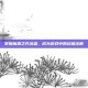 掌握魔渊之刃法盘，成为游戏中的终极法师