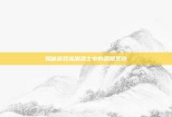 揭秘游戏流浪武士中的武器系统