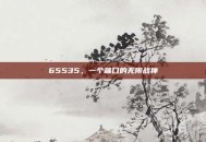65535，一个端口的无限战神
