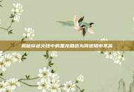 揭秘穿越火线中的黑龙角色为何使用率不高