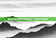 魅语不知火舞的乳液怎么样？一份走心实测报告