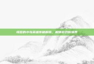 愤怒的小鸟英雄传破解版，解锁游戏新境界