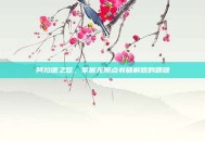 阿拉德之怒，掌握无限点券破解版的精髓
