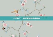 十全补丁，游戏更新的终极指南