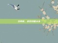 少掌柜，游戏攻略大全