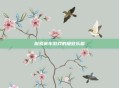 探索赛车游戏的极致乐趣