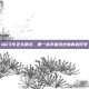 QQ飞车正头精灵，那一抹不曾远去的青春符号