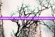 哪些网页游戏好玩，聚焦热门类型与优质玩法，发掘居家也能享受的游戏乐趣
