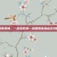 侠骨柔情，一剑定乾坤—桃园侠客加点全攻略