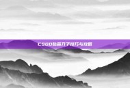 CSGO贴画刀子技巧与攻略