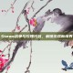 Steam战争与玫瑰代码，解锁游戏新境界