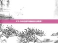 CS:GO完美年度报告在哪里？