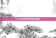 CS:GO完美年度报告在哪里？