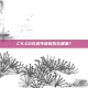 CS:GO完美年度报告在哪里？