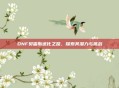 DNF贝雷斯进化之路，探索其潜力与挑战