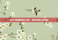DNF贝雷斯进化之路，探索其潜力与挑战