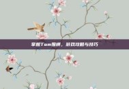 掌握Tom围棋，游戏攻略与技巧