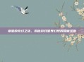 姜星的奇幻之旅，揭秘游戏星界幻想的隐藏宝藏