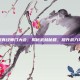 九阴真经师门大会，揭秘武林秘籍，提升战力攻略