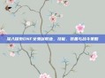 深入探索DNF女鬼剑职业，技能、装备与战斗策略
