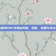 深入探索DNF女鬼剑职业，技能、装备与战斗策略