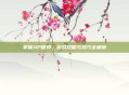 掌握AP德邦,游戏攻略与技巧全解析