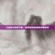 大富翁3安卓下载，探索虚拟财富的终极游戏