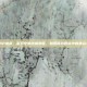 AP提莫，游戏中的终极刺客，如何成为团队中的焦点？