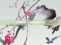 终极对决，叶扬的逆战之路