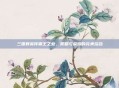 三国群英传霸王之业，策略与荣耀的完美结合
