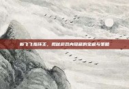 新飞飞指环王，揭秘游戏内隐藏的宝藏与策略