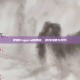 掌握Kagura的奥秘，游戏攻略与技巧