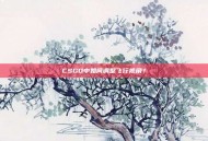 CSGO中如何调整飞行视角？