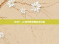 突袭1，战术与策略的完美结合