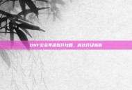DNF公会等级提升攻略，高效升级指南