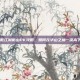 笑傲江湖衡山PK攻略，如何在华山之巅一决高下？
