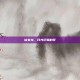 仙女龙，月光织就的梦