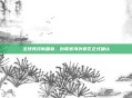 全球竞技新篇章，创联赛海外赛区正式确认