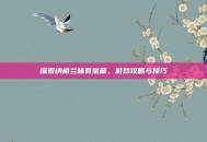 探索纳格兰稀有宝藏，游戏攻略与技巧