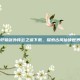 轩辕剑外传云之遥下载，探索古风仙侠世界