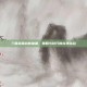 三国杀国战新锦囊，策略与技巧的完美结合